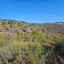 land for sale pano arodes paphos 1472879 thumbnail 3551691