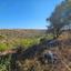 land for sale pano arodes paphos 1472879 thumbnail 3551692
