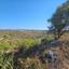 land for sale pano arodes paphos 1472879 thumbnail 3551693