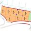 plot for sale pervolia larnaca 8367879 thumbnail 14579739