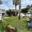 1 bedroom apartment for sale peyia paphos 8394979 thumbnail 16535026