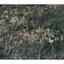 5017 SQM Land for sale in Kellaki, Limassol thumbnail 11237445