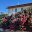 3 bedroom detached house for sale souni zanakia limassol 1457979 thumbnail 12577095
