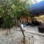 6 bedroom detached house for sale platy aglantzias nicosia 1538979 thumbnail 9560034