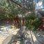 6 bedroom detached house for sale platy aglantzias nicosia 1538979 thumbnail 9560036
