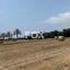 land for sale peyia paphos 1882979 thumbnail 10051250