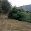 plot for sale kaminaria limassol 1194979 thumbnail 5573745