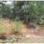plot for sale kaminaria limassol 1194979 thumbnail 5573746