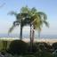 5 bedroom detached house for sale agia fyla limassol 1148189 thumbnail 5509388