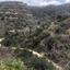 land for sale koili paphos 8630189 thumbnail 16718119