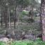 plot for sale psevdas larnaca 831189 thumbnail 4125603