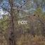 land for sale pano platres limassol 1148289 thumbnail 5524527