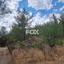 land for sale pano platres limassol 1148289 thumbnail 5524531