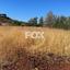land for sale pomos paphos 1270289 thumbnail 10032906