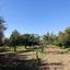 studio commercial building for sale moni limassol 8676289 thumbnail 16075913