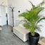 2 bedroom apartment for sale livadia larnacas larnaca 8736389 thumbnail 16348405