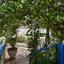 3 bedroom detached house for sale agia triada famagusta 1236389 thumbnail 5595515