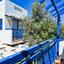 3 bedroom detached house for sale agia triada famagusta 1236389 thumbnail 5595584