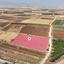 land for sale peristerona lefkosias nicosia 1853389 thumbnail 6720819