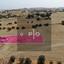 plot for sale klirou nicosia 8275389 thumbnail 15471194