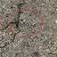 plot for sale nicosia municipality nicosia 8946389 thumbnail 17704830