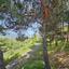studio block of flats for sale silikou limassol 8890389 thumbnail 17319536