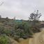 7358 SQM Land for sale in Vasa Kellakiou, Limassol thumbnail 9549599