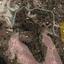 land for sale agios tychonas limassol 1837489 thumbnail 6532992