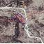 land for sale kato drys larnaca 1048489 thumbnail 15603485