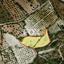 land for sale mesa chorio paphos 1159489 thumbnail 5524656