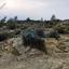 land for sale vasa kellakiou limassol 7555489 thumbnail 9549595