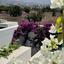 3 bedroom detached house for sale peyia paphos 1618589 thumbnail 13122117