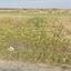 land for rent tseri nicosia 8376589 thumbnail 16185967