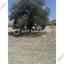 land for sale agia varvara nicosias nicosia 1844589 thumbnail 6624101
