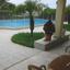 5 bedroom detached house for rent strovolos nicosia 1786689 thumbnail 14240467
