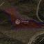 land for sale arakapas limassol 1658689 thumbnail 5846642