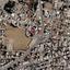 land for sale sotiros agios ioannis larnaca larnaca 8960689 thumbnail 17795956