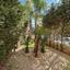2 bedroom ground floor apartment for sale pyrgos limassol limassol 8526789 thumbnail 16637298