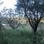 3 bedroom detached house for sale vouni limassol 1147789 thumbnail 5554270