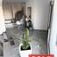 3 bedroom detached house sold pano deftera nicosia 8748789 thumbnail 17740680