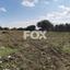 land for sale pachna limassol 1146789 thumbnail 5527325
