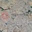 land for sale sotiros agios ioannis larnaca larnaca 1707789 thumbnail 6319232