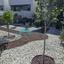 3 bedroom detached house for sale agia marinouda paphos 8652889 thumbnail 16022515