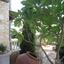 5 bedroom detached house for sale kolossi limassol 1095889 thumbnail 6235652