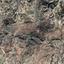 land for sale episkopi pafou paphos 862889 thumbnail 15599823