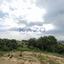 land for sale maroni larnaca 8902889 thumbnail 17375646