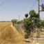 land for sale pera orinis nicosia 1062889 thumbnail 16251996