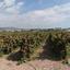 plot for sale coral bay paphos 1684889 thumbnail 4406885