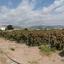 plot for sale coral bay paphos 1684889 thumbnail 4406887