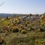 land for sale kathikas paphos 8531989 thumbnail 16277419